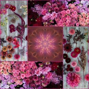 🐌🌸Bundle For Ashley⚘🐆